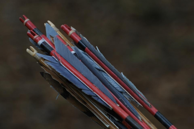 Arrows waiting for action
